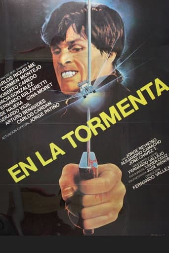 Poster for In the Storm