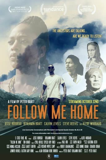 Poster for Follow Me Home