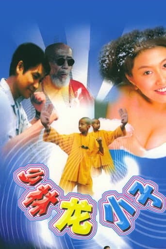 Poster for 少林龙小子