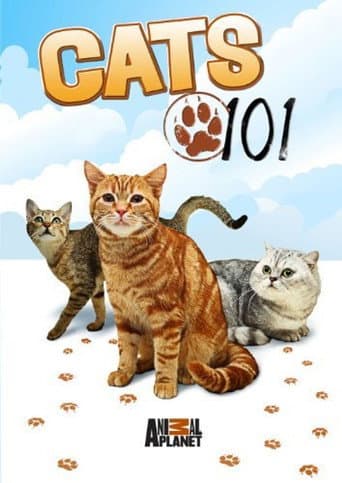 Poster for Cats 101