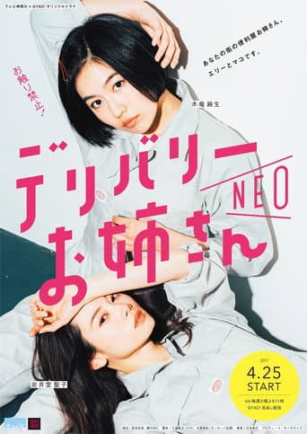 Poster for Delivery Onee-san NEO
