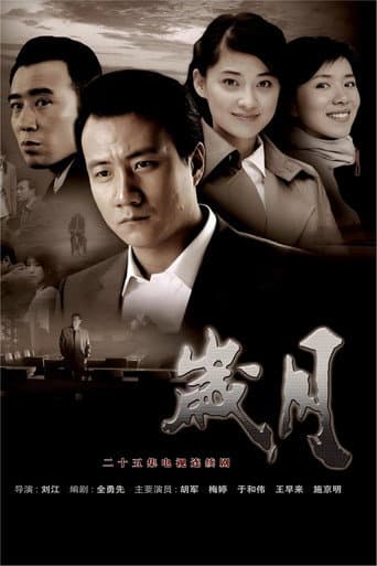 Poster for 岁月