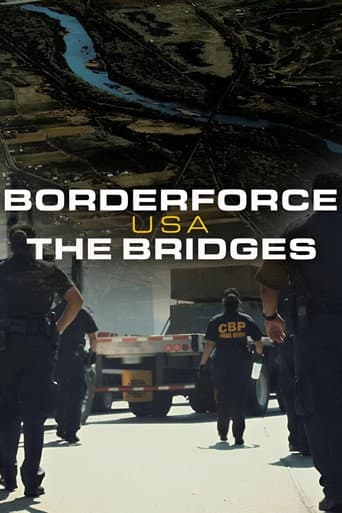 Poster for Borderforce USA: The Bridges