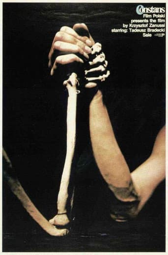 Poster for The Constant Factor