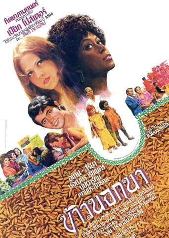 Poster for The American Surplus