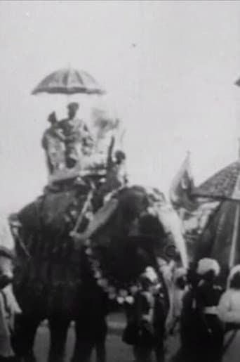 Poster for Procession of Elephants with Howdahs - India