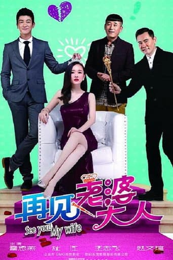 Poster for 再见老婆大人