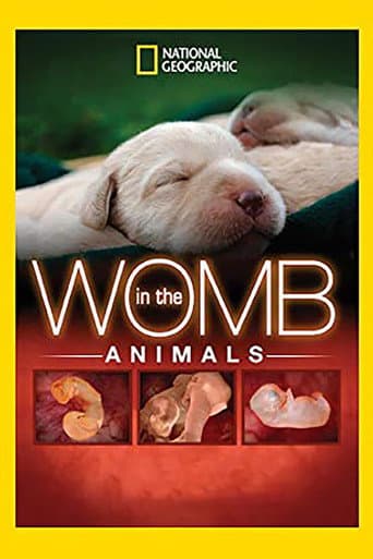 Poster for In The Womb: Animals