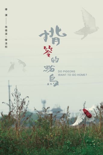 Poster for Do Pigeons Want to Go Home?