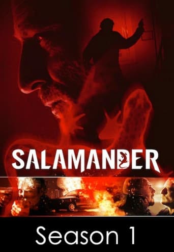 Poster for Season 1