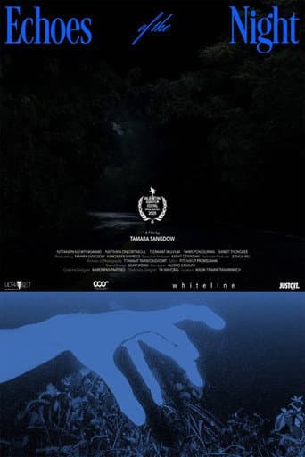 Poster for Echoes of the Night