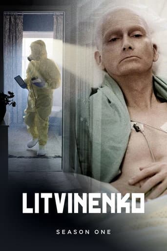 Poster for Miniseries