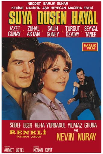 Poster for Suya Düşen Hayal