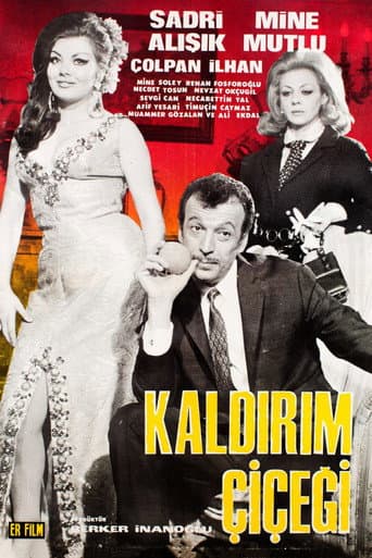 Poster for Kaldırım Çiçeği
