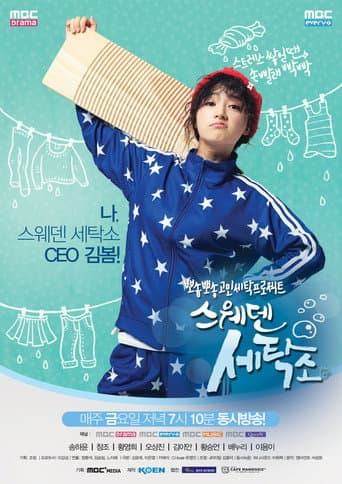 Poster for Sweden Laundry