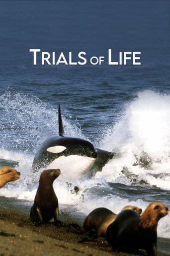 Poster for Trials of Life