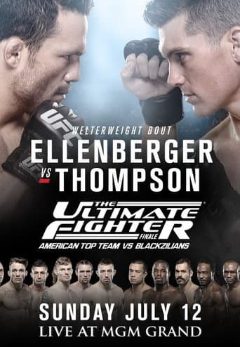 Poster for The Ultimate Fighter 21 Finale