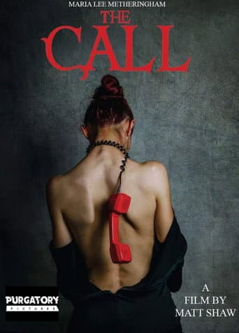 Poster for The Call
