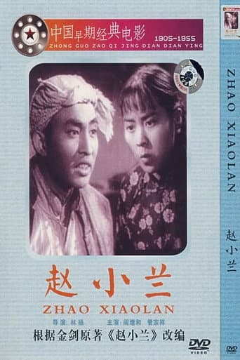 Poster for 赵小兰