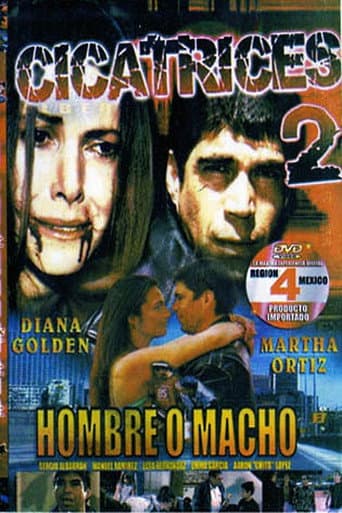 Poster for Scars 2