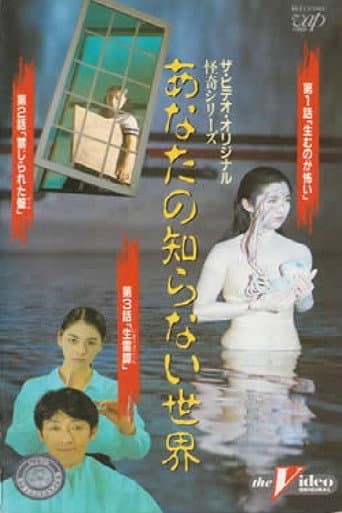 Poster for The World You Don't Know II