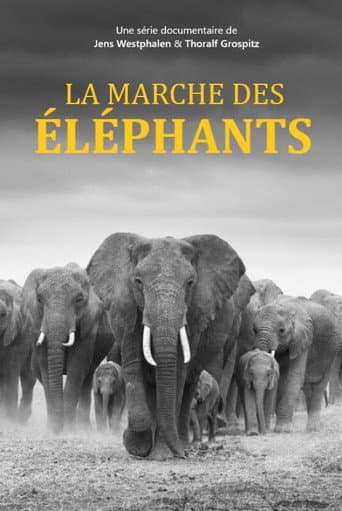 Poster for Elefanten hautnah