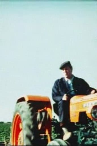 Poster for Summer in the Fields