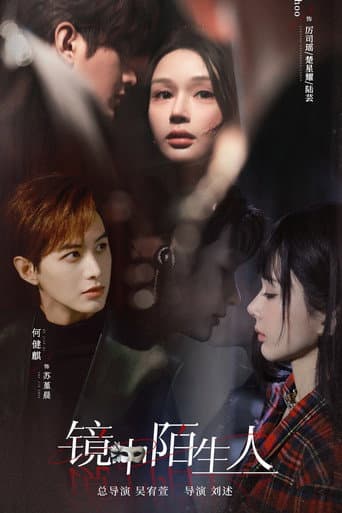 Poster for The Stranger in the Mirror