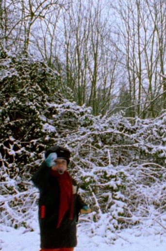 Poster for Snowflakes