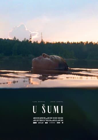 Poster for In the Woods