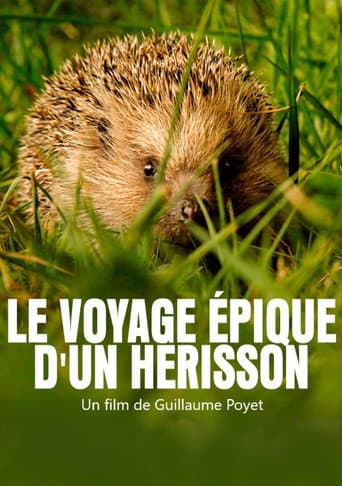 Poster for Le voyage épique d'un hérisson