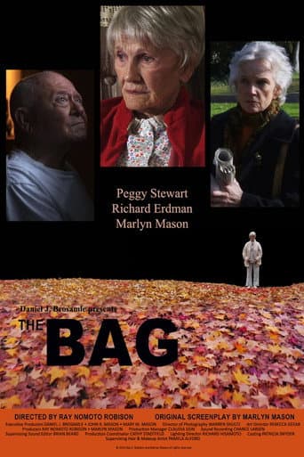 Poster for The Bag