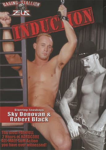 Poster for Induction