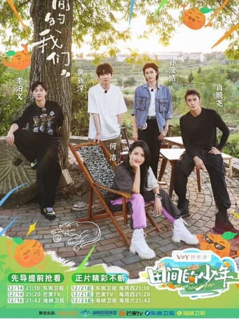 Poster for 田间的少年