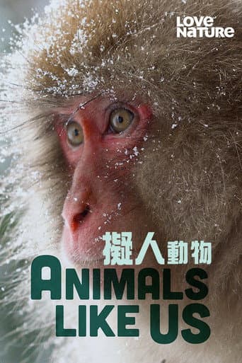 Poster for Animals Like Us