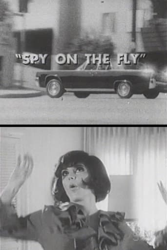 Poster for Spy on the Fly