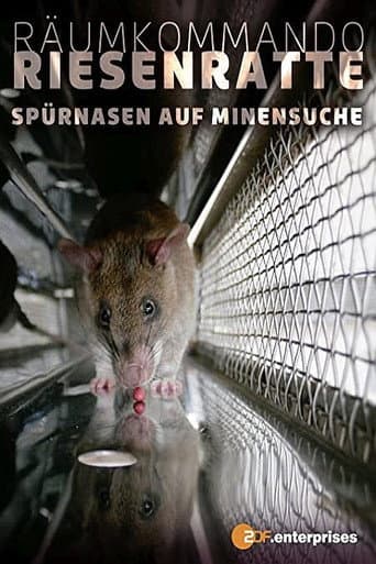 Poster for Räumkommando Riesenratte - Spürnasen auf Minensuche