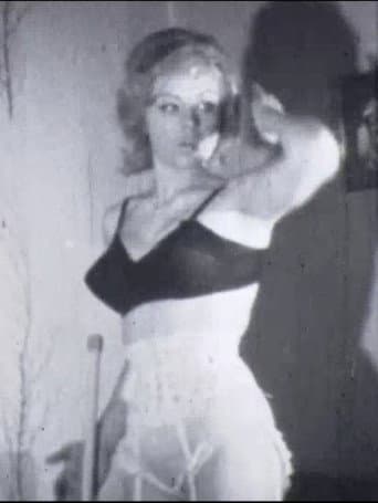Poster for Model Maid