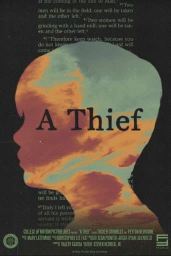 Poster for A Thief