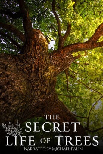 Poster for The Secret Life of Trees
