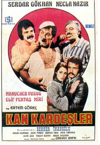 Poster for Kan Kardeşler