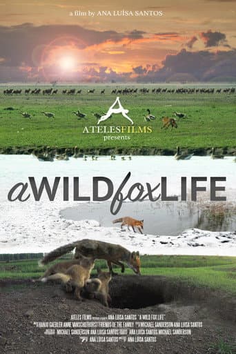 Poster for A Wild Fox Life