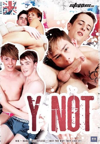 Poster for Y Not