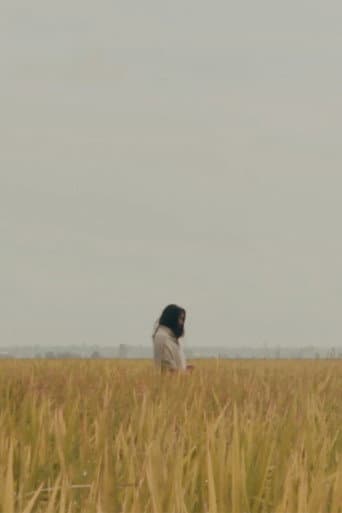 Poster for The Lost Piece