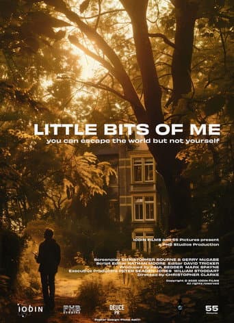 Poster for Little Bits of Me