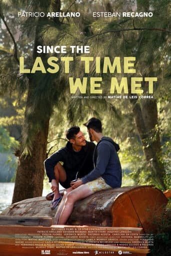 Poster for Since the Last Time We Met