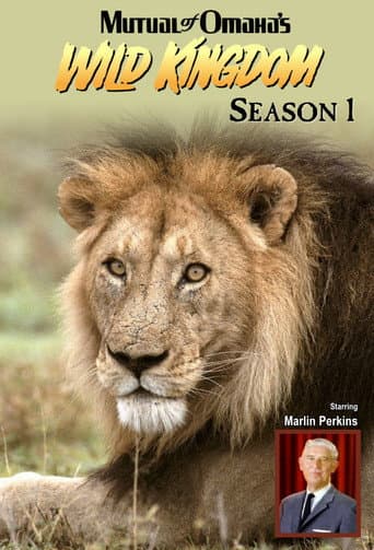 Poster for Season 1