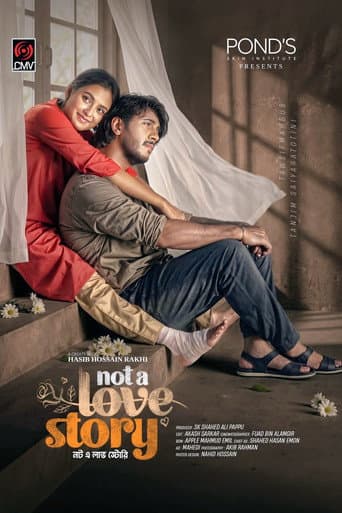 Poster for Not A Love Story