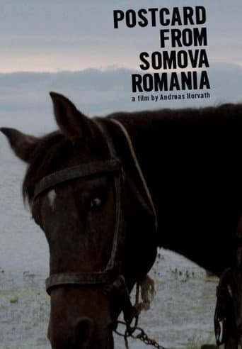 Poster for Postcard from Somova, Romania