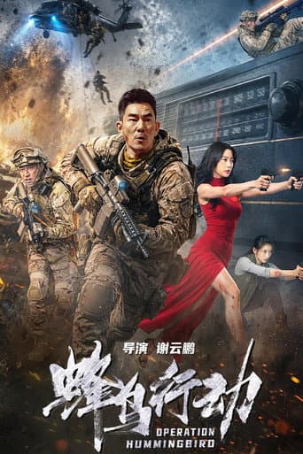 Poster for Operation Hummingbird
